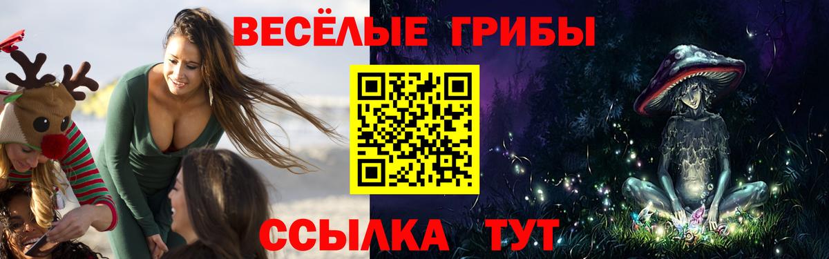 Галлюциногенные грибы мухоморы Знаменск